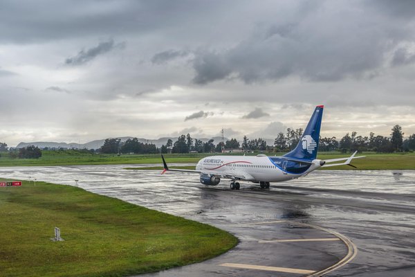 Explore captivating cruises in the uk with exclusive guided tours of historic botanical gardens